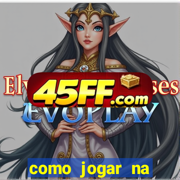 como jogar na lotinha do jogo do bicho